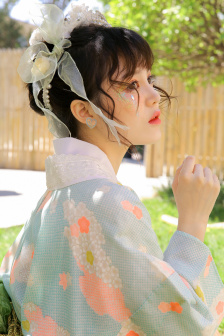 欧洲大型服务器